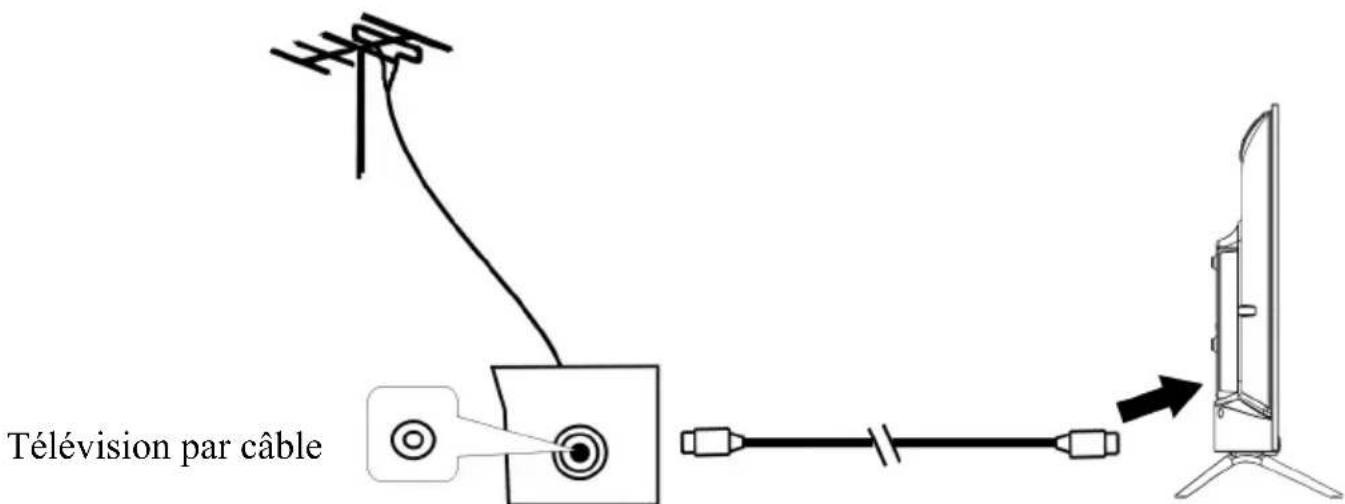 SCHNEIDER SC32S1FJORD - Connexion De L'Antenne Externe À L'Unité - 1