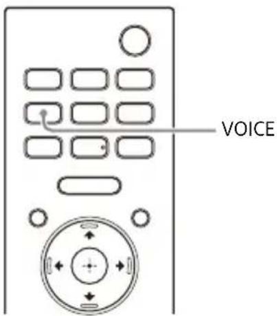 SONY HTA3000 - Conseil - 1