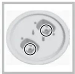 HOTPOINT PH 941MSTV (IX)HA - Sostituzione degli ugelli su bruciatore Tripla corona - 2