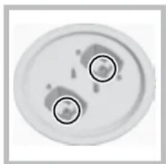 HOTPOINT PH 941MSTV (IX)HA - Remplacement des injecteurs du brûleur triple couronne - 2