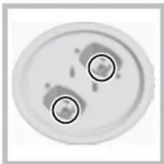 HOTPOINT PH 941MSTV (IX)HA - Substituição dos bicos do queimador de Tripla Coroa - 2