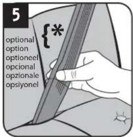 5 optional option optional opzionale opsiyonel {*}