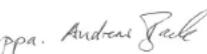Madeira Notos - Declaratie de conformitate - 3