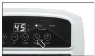 Madeira Notos - Switch On/Off - 1