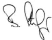 MESTO 3595P - CE- Konformitätserklarung - 2