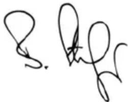 MESTO 3595P - CE- Konformitätserklarung - 1