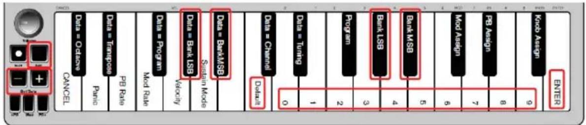 ALESIS Qmini Compact 32Key USBMIDI Keyboard Controller - Bank LSB und Bank MSB - 1