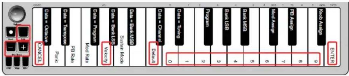 ALESIS Qmini Compact 32Key USBMIDI Keyboard Controller - Para seleccionar una nuova curva de velocidad: - 1