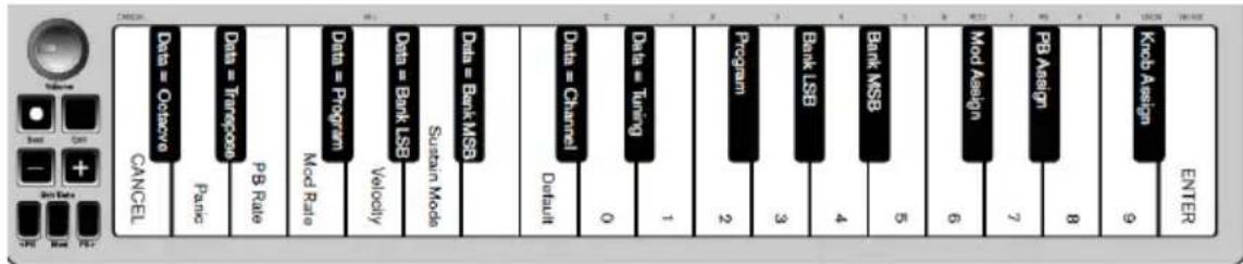ALESIS Qmini Compact 32Key USBMIDI Keyboard Controller - Plateau de clavier - 1