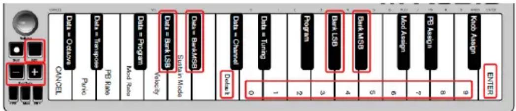 ALESIS Qmini Compact 32Key USBMIDI Keyboard Controller - Bank LSB and Bank MSB - 1