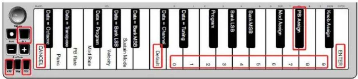 ALESIS Qmini Compact 32Key USBMIDI Keyboard Controller - Botones de inflexión tonal - 1