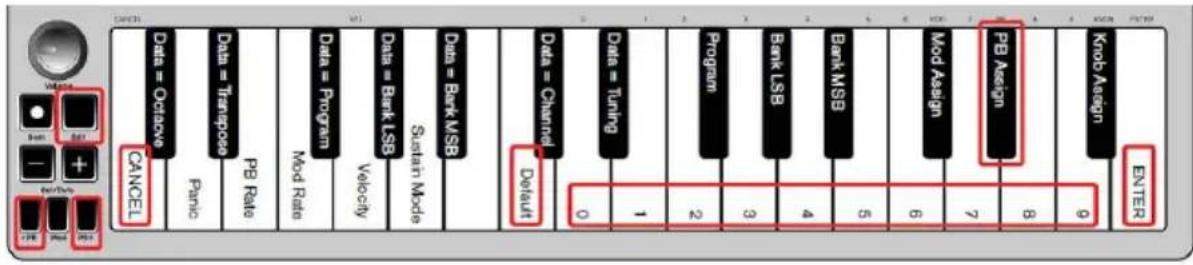 ALESIS Qmini Compact 32Key USBMIDI Keyboard Controller - Pitch Bend Buttons - 1