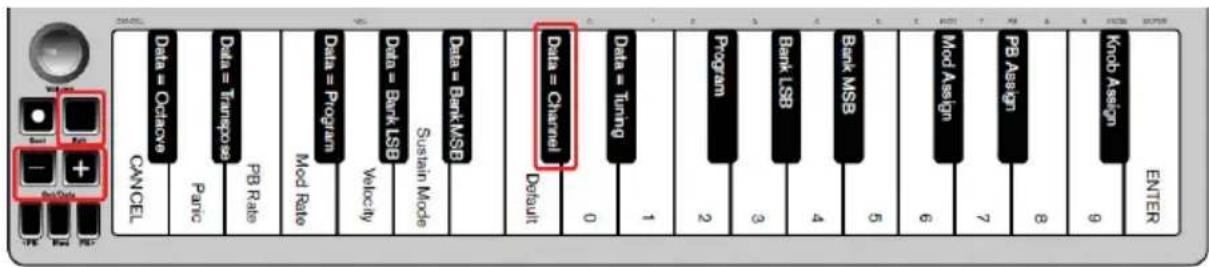 ALESIS Qmini Compact 32Key USBMIDI Keyboard Controller - Canal - 1