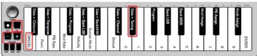 ALESIS Qmini Compact 32Key USBMIDI Keyboard Controller - Stimmen - 1