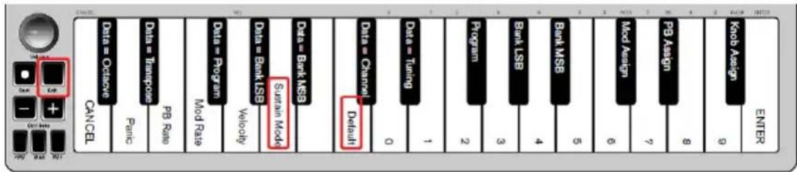 ALESIS Qmini Compact 32Key USBMIDI Keyboard Controller - Modalità Sustain - 1