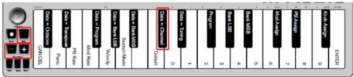 ALESIS Qmini Compact 32Key USBMIDI Keyboard Controller - Kanal - 1