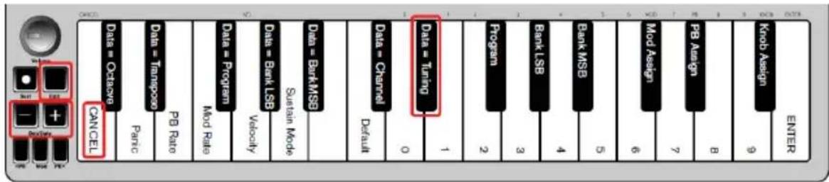 ALESIS Qmini Compact 32Key USBMIDI Keyboard Controller - Tuning - 1
