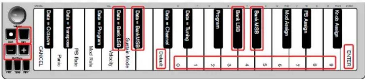 ALESIS Qmini Compact 32Key USBMIDI Keyboard Controller - Banco LSB y banco MSB - 1