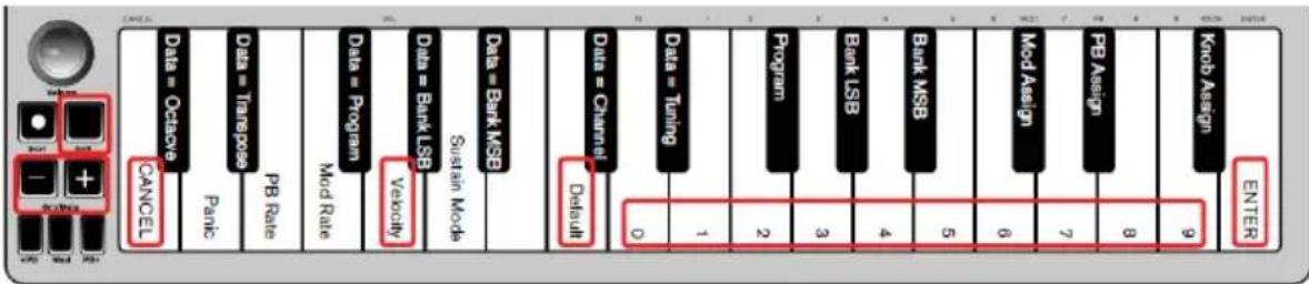 ALESIS Qmini Compact 32Key USBMIDI Keyboard Controller - Anschlagsdynamik (Velocity) - 1
