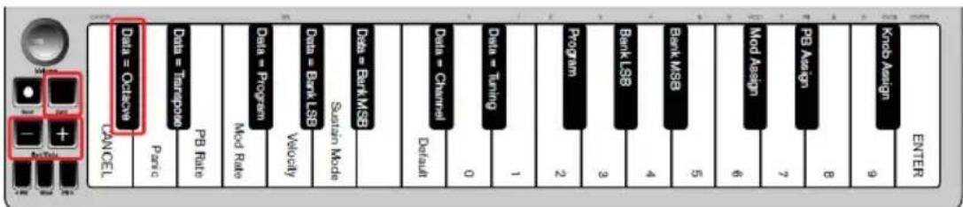 ALESIS Qmini Compact 32Key USBMIDI Keyboard Controller - Pulsanti Octave/Data - 1