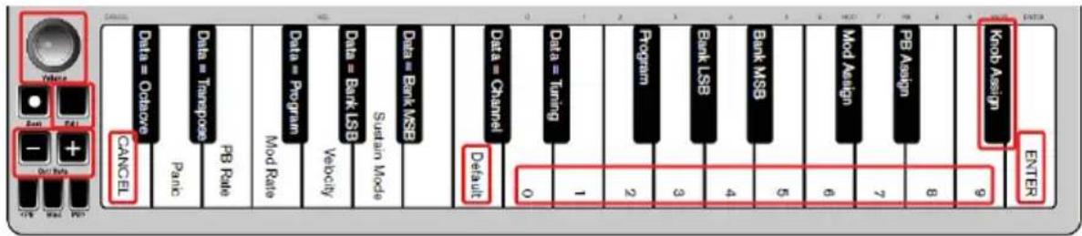 ALESIS Qmini Compact 32Key USBMIDI Keyboard Controller - Para volver a la configuración predeterminada: - 1