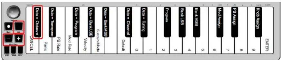 ALESIS Qmini Compact 32Key USBMIDI Keyboard Controller - Botones Oct/Data - 1