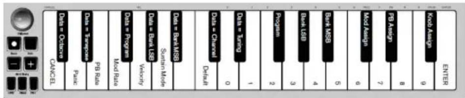 ALESIS Qmini Compact 32Key USBMIDI Keyboard Controller - Placa del teclado - 1