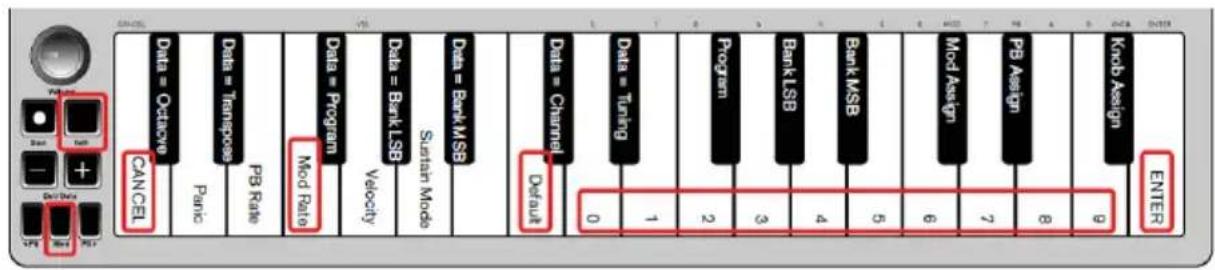 ALESIS Qmini Compact 32Key USBMIDI Keyboard Controller - Velocidad de modulación - 1
