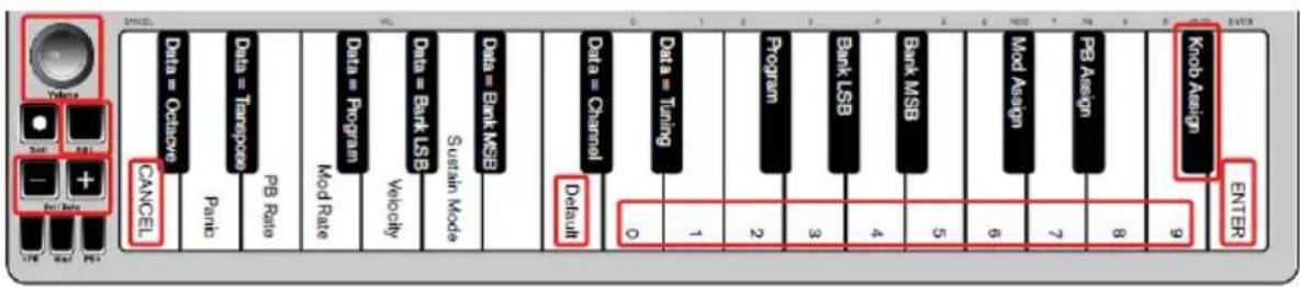 ALESIS Qmini Compact 32Key USBMIDI Keyboard Controller - Manopola del volume - 1