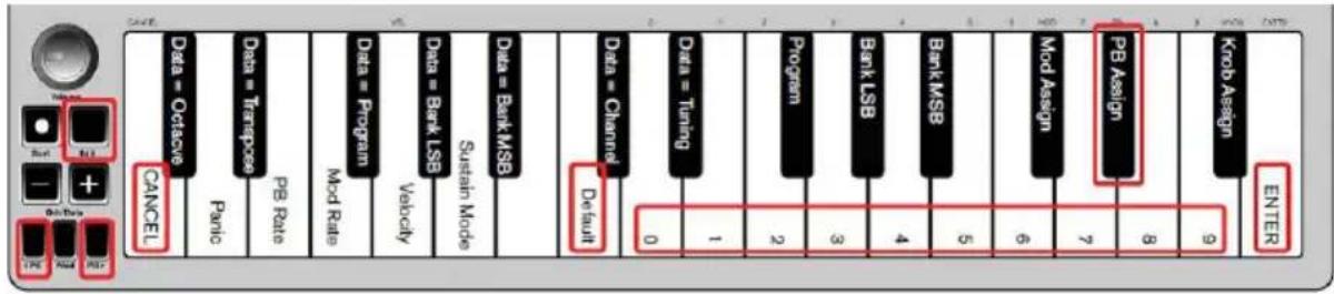 ALESIS Qmini Compact 32Key USBMIDI Keyboard Controller - Pitchbend-Taster - 1