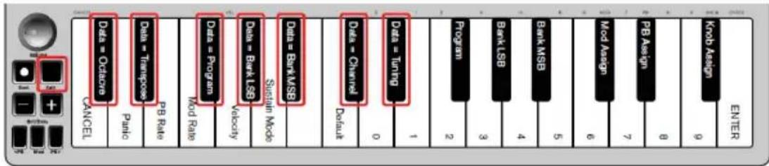 ALESIS Qmini Compact 32Key USBMIDI Keyboard Controller - Reassigning the Octave/Data Buttons - 1
