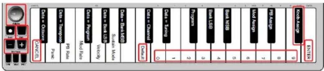 ALESIS Qmini Compact 32Key USBMIDI Keyboard Controller - Volume Knob - 1