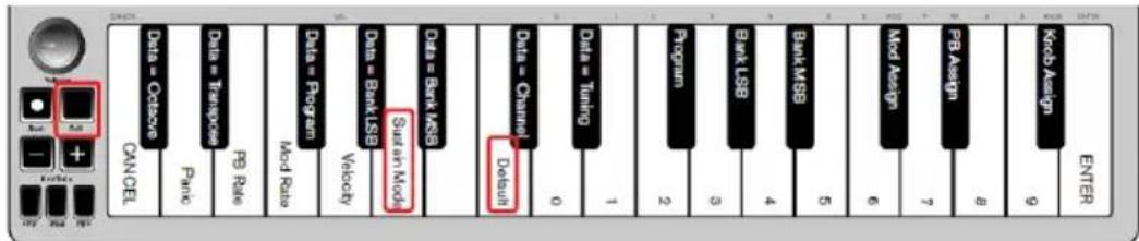 ALESIS Qmini Compact 32Key USBMIDI Keyboard Controller - Sustain Mode - 1
