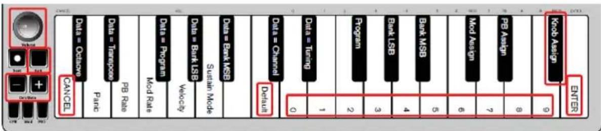 ALESIS Qmini Compact 32Key USBMIDI Keyboard Controller - Lautstärke-Drehregler - 1
