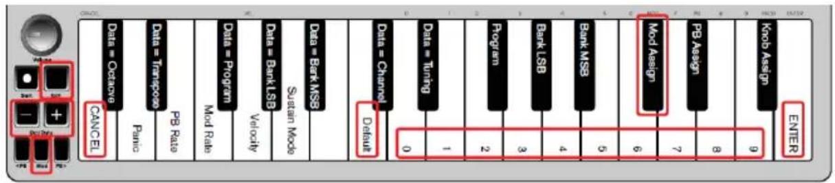 ALESIS Qmini Compact 32Key USBMIDI Keyboard Controller - Bouton de modulation - 1