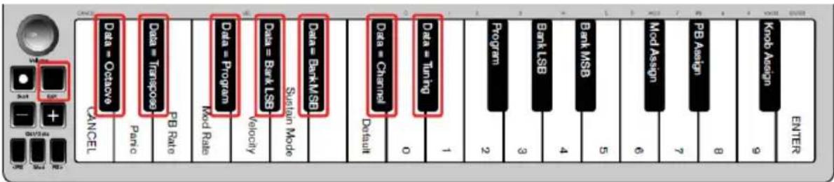 ALESIS Qmini Compact 32Key USBMIDI Keyboard Controller - Neuzuweisung der Octave/Data-Taster - 1