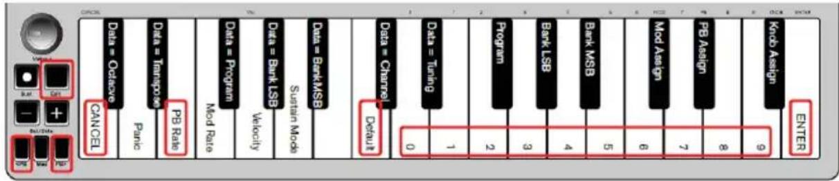 ALESIS Qmini Compact 32Key USBMIDI Keyboard Controller - Velocidad de inflexión tonal - 1
