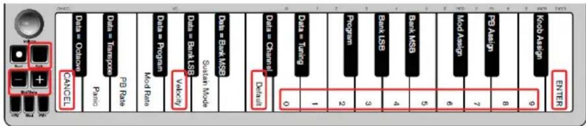 ALESIS Qmini Compact 32Key USBMIDI Keyboard Controller - To return the Velocity Curve to the default setting, perform the following steps: - 1