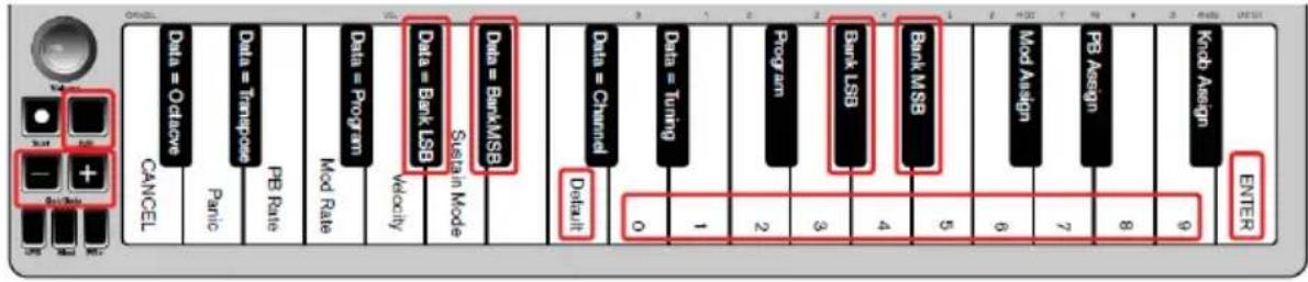 ALESIS Qmini Compact 32Key USBMIDI Keyboard Controller - Banco LSB e banco MSB - 1