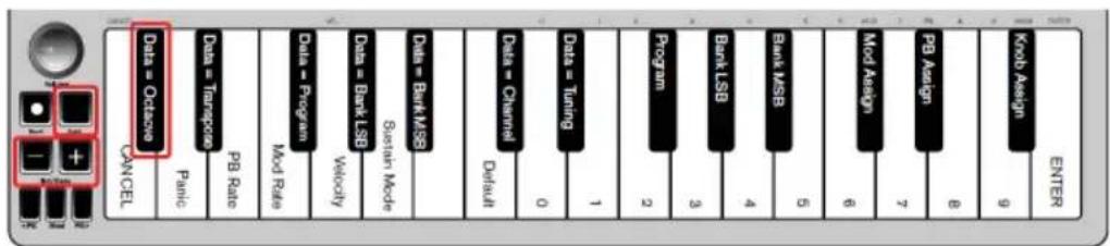 ALESIS Qmini Compact 32Key USBMIDI Keyboard Controller - Boutons oct/data - 1