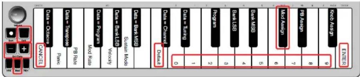 ALESIS Qmini Compact 32Key USBMIDI Keyboard Controller - Pulsante Modulation - 1