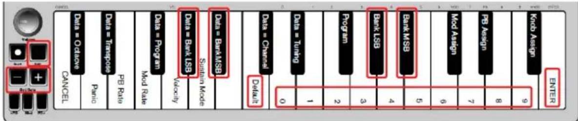 ALESIS Qmini Compact 32Key USBMIDI Keyboard Controller - Messages banque LSB et banque MSB - 1