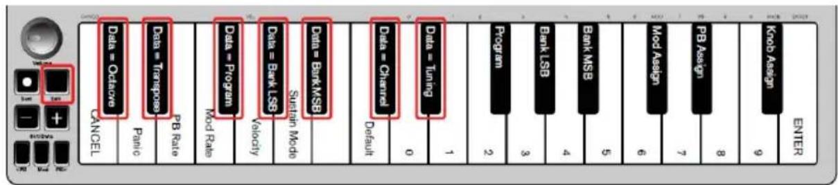 ALESIS Qmini Compact 32Key USBMIDI Keyboard Controller - Reasignación de los botones Oct/Data - 1