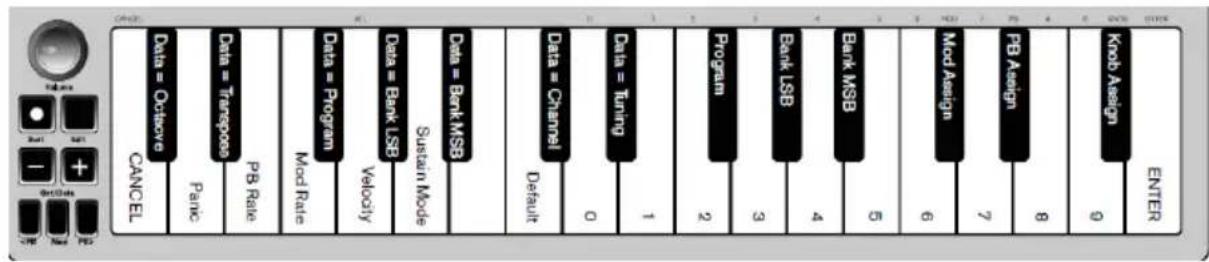 ALESIS Qmini Compact 32Key USBMIDI Keyboard Controller - Klaviatur - 1