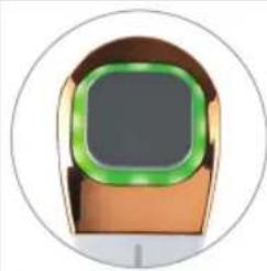 Maxxmee Face Contour 06161 - Das Gerät bedienen - 1