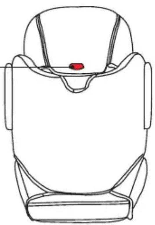 Osann Marty Klimax - Vue arrière - 1