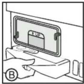 FUP B
