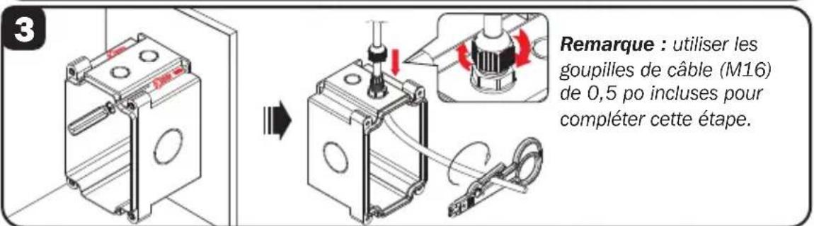 Tripp Lite P569010IND2 - Installation du coupleur de cloison de qualité industrielle (N206-BC01-IND, U325-000-IND, P569-000-FF-IND et N455-BC01-IND) - 3