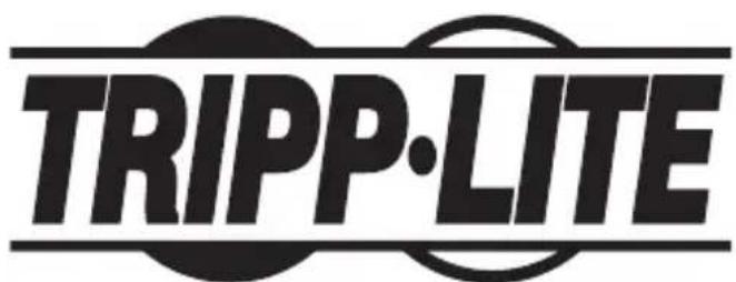 Tripp Lite P569010IND2 - Información de Cumplimiento con WEEE por los Clientes y Recicladores de Tripp Lite (Unión Europea) - 2
