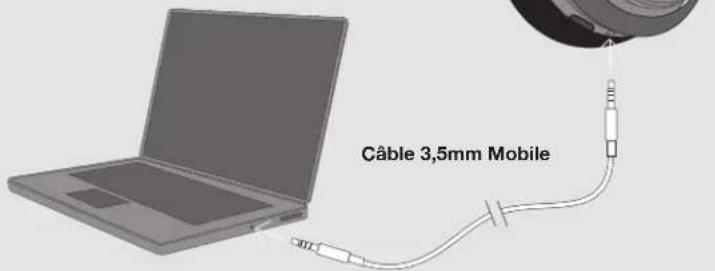 Câble 3,5mm Mobile